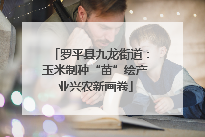 罗平县九龙街道：玉米制种“苗”绘产业兴农新画卷