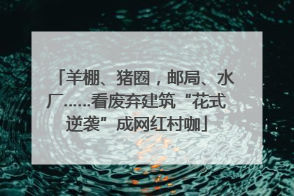 羊棚、猪圈，邮局、水厂……看废弃建筑“花式逆袭”成网红村咖