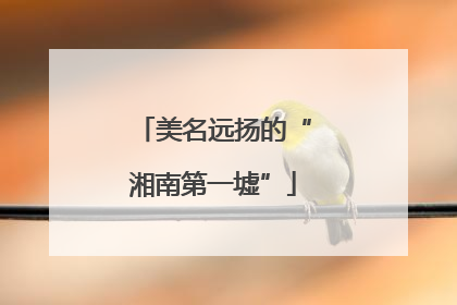 美名远扬的“湘南第一墟”