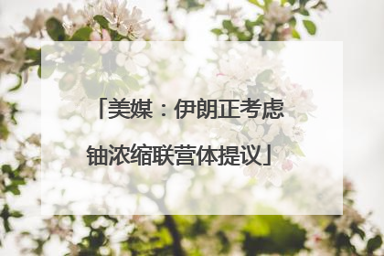 美媒：伊朗正考虑铀浓缩联营体提议