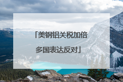 美钢铝关税加倍 多国表达反对