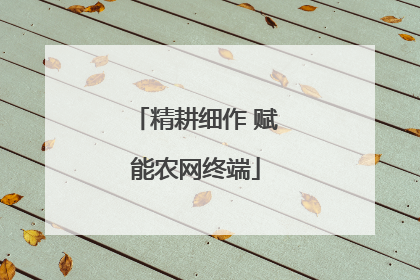 精耕细作 赋能农网终端