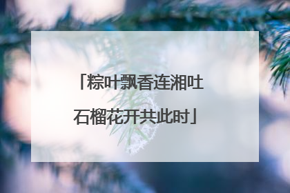 粽叶飘香连湘吐 石榴花开共此时