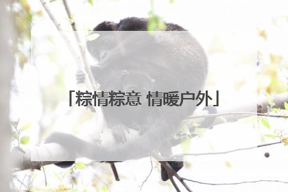 粽情粽意 情暖户外