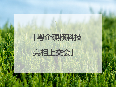 粤企硬核科技亮相上交会