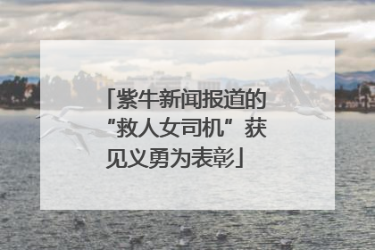 紫牛新闻报道的“救人女司机”获见义勇为表彰
