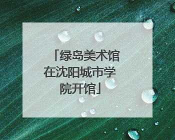 绿岛美术馆在沈阳城市学院开馆