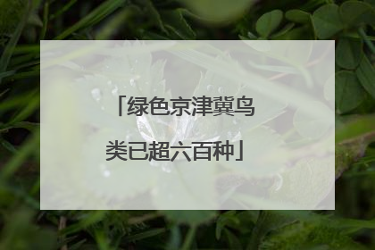 绿色京津冀鸟类已超六百种