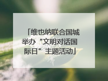 维也纳联合国城举办“文明对话国际日”主题活动