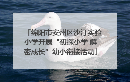 绵阳市安州区沙汀实验小学开展“初探小学 解密成长”幼小衔接活动