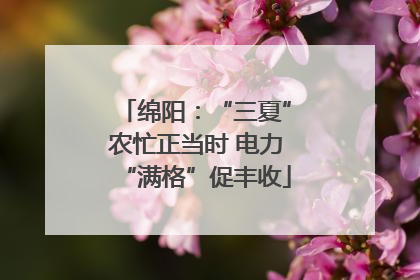 绵阳：“三夏”农忙正当时 电力“满格”促丰收