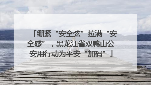 绷紧“安全弦”拉满“安全感”，黑龙江省双鸭山公安用行动为平安“加码”