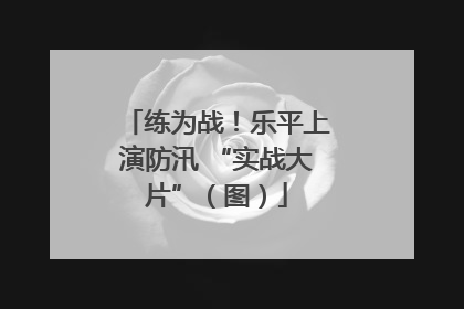 练为战！乐平上演防汛 “实战大片”（图）