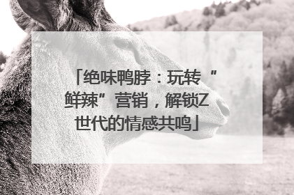 绝味鸭脖：玩转“鲜辣”营销，解锁Z世代的情感共鸣