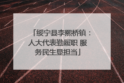 绥宁县李熙桥镇：人大代表勤履职 服务民生显担当