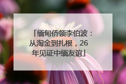 缅甸侨领李伯波：从淘金到扎根，26年见证中缅友谊