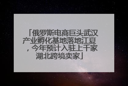 俄罗斯电商巨头武汉产业孵化基地落地江夏，今年预计入驻上千家湖北跨境卖家