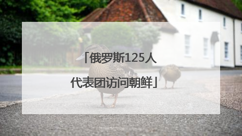 俄罗斯125人代表团访问朝鲜