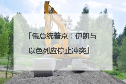 俄总统普京：伊朗与以色列应停止冲突
