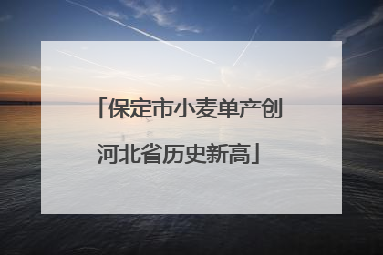 保定市小麦单产创河北省历史新高