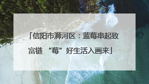 信阳市浉河区：蓝莓串起致富链 “莓”好生活入画来