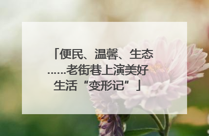 便民、温馨、生态……老街巷上演美好生活“变形记”