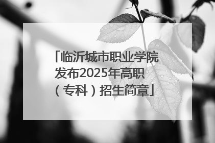 临沂城市职业学院发布2025年高职（专科）招生简章