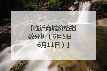 临沂商城价格指数分析（6月5日—6月11日）