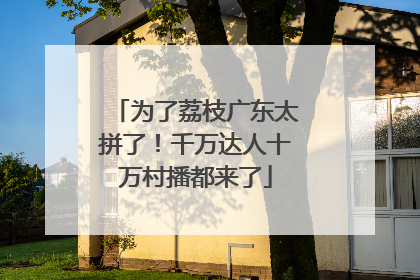 为了荔枝广东太拼了！千万达人十万村播都来了