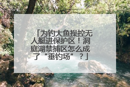 为钓大鱼操控无人艇进保护区！洞庭湖禁捕区怎么成了“垂钓场”？