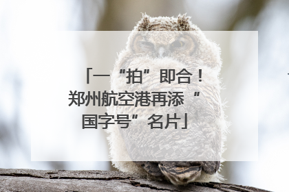 一“拍”即合！郑州航空港再添“国字号”名片