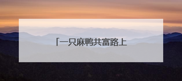 一只麻鸭共富路上的发展“密码”