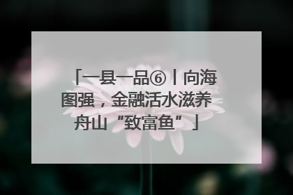 一县一品⑥丨向海图强，金融活水滋养舟山“致富鱼”