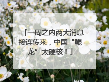一周之内两大消息接连传来，中国“鲲龙”太硬核！
