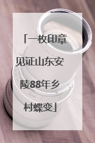 一枚印章见证山东安陵88年乡村蝶变