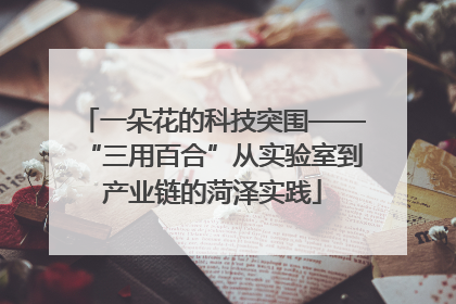一朵花的科技突围——“三用百合”从实验室到产业链的菏泽实践