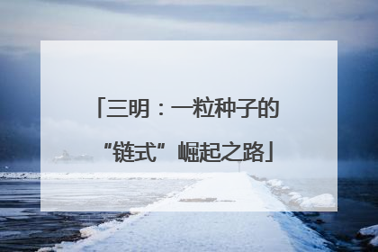 三明：一粒种子的“链式”崛起之路