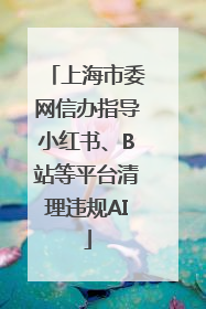 上海市委网信办指导小红书、B站等平台清理违规AI