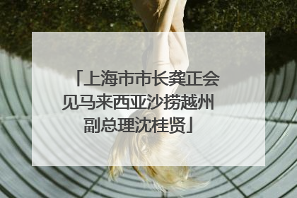 上海市市长龚正会见马来西亚沙捞越州副总理沈桂贤