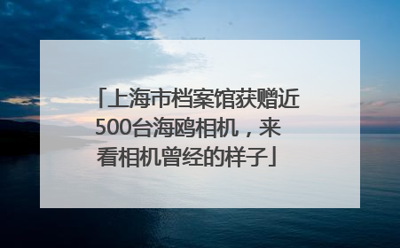 上海市档案馆获赠近500台海鸥相机，来看相机曾经的样子