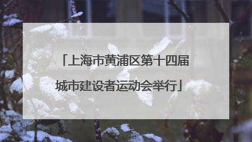上海市黄浦区第十四届城市建设者运动会举行