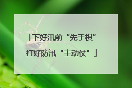 下好汛前“先手棋” 打好防汛“主动仗”