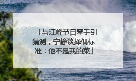 与汪峰节目牵手引猜测，宁静谈择偶标准：他不是我的菜