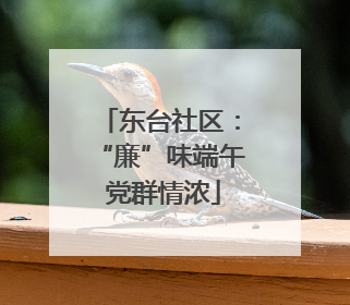 东台社区：“廉”味端午 党群情浓