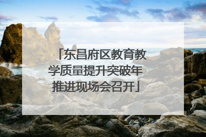 东昌府区教育教学质量提升突破年推进现场会召开