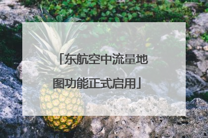东航空中流量地图功能正式启用