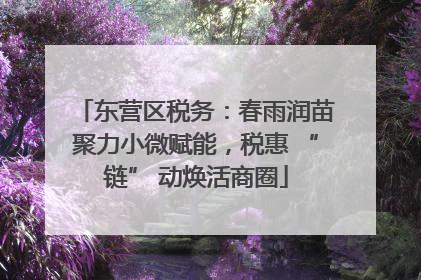 东营区税务：春雨润苗聚力小微赋能，税惠 “链” 动焕活商圈