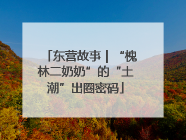 东营故事｜“槐林二奶奶”的“土潮”出圈密码