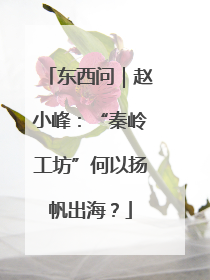 东西问｜赵小峰：“秦岭工坊”何以扬帆出海？