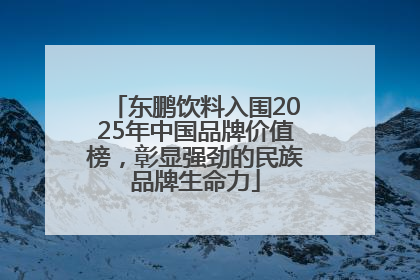 东鹏饮料入围2025年中国品牌价值榜，彰显强劲的民族品牌生命力